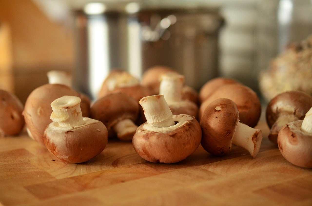 How Do I Maintain Proper Humidity For Mushrooms?