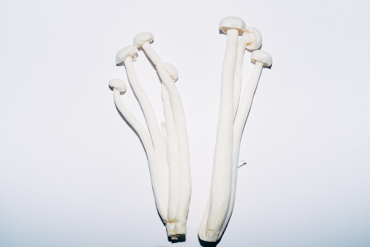What Is The Best Temperature For Mushroom Fruiting?