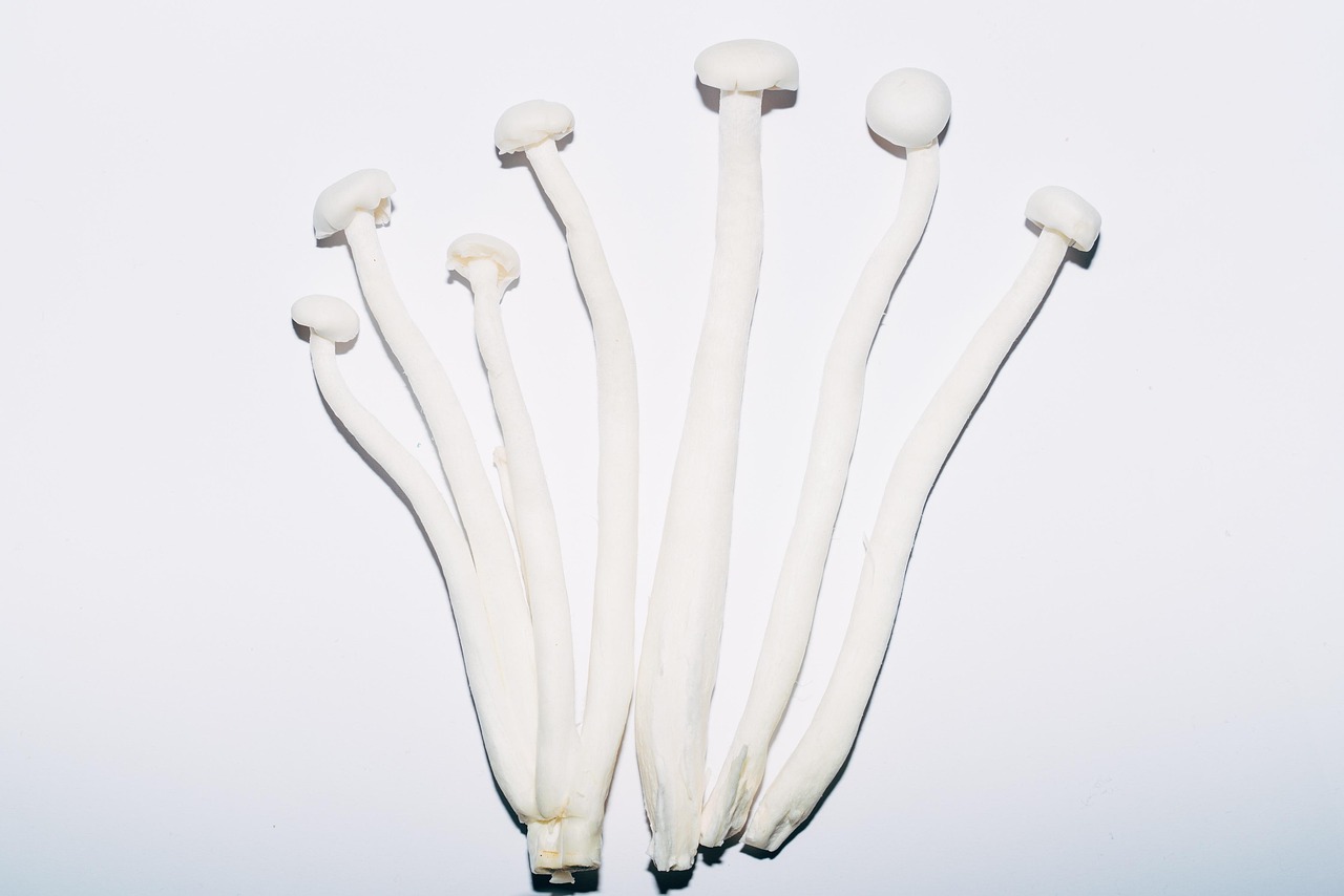 What Is The Best Temperature For Mushroom Fruiting?