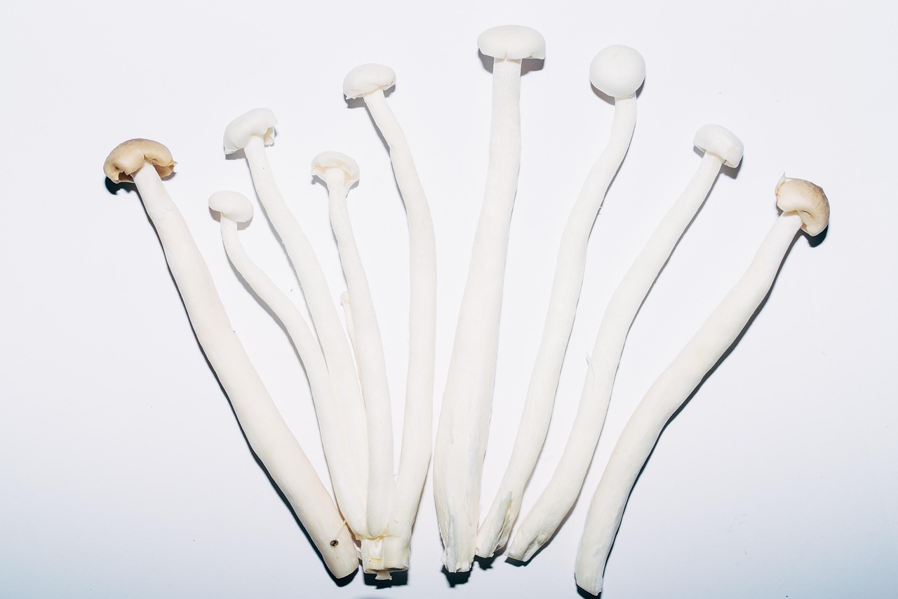 What Is The Best Temperature For Mushroom Fruiting?