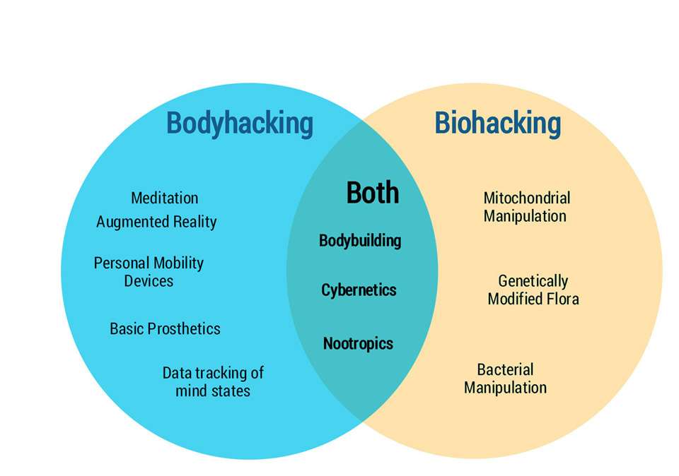 What is the definition of biohacking? Definition of Biohacking