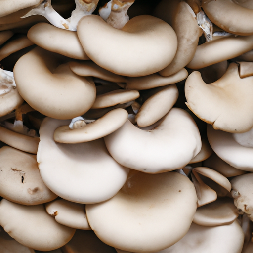 What Are The Steps To Start Growing Mushrooms?