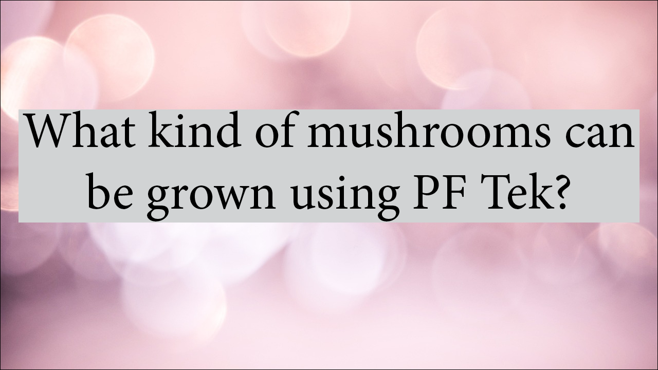 What Kind Of Mushrooms Can Be Grown Using PF Tek?